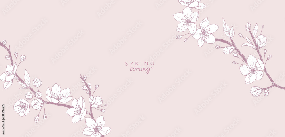 Fototapeta premium Cherry blossoms. Spring background with flowers and brunch. Detailed botanic floral collection for Valentines day invitation, wallpaper art or save the date card