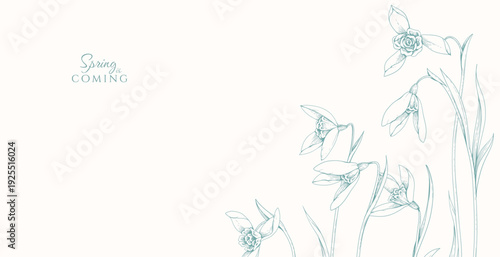 Spring background with snowdrops flowers. Detailed botanic floral collection for Valentines day invitation, wallpaper art or save the date card