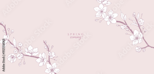 Cherry blossoms. Spring background with flowers and brunch. Detailed botanic floral collection for Valentines day invitation, wallpaper art or save the date card