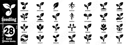 Seedling growth stages set solid editable stocks vector illustration.