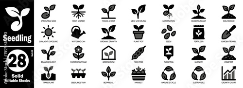 Seedling development collection, solid editable vector illustration.