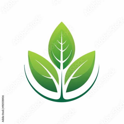 Green leaf logo design, nature and eco-friendly concept