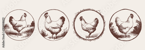 Chicken poultry emblem logo hand drawn style. Set of hen portraits in countryside frames and natural environment. Banner for egg branding and organic farm packaging with precise pencil linework.