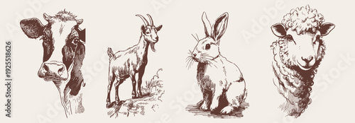 Farm animal portrait collection rustic livestock characters set. Cow, sheep, goat and rabbit figures. Elements for packaging design. Detailed ink hand drawn sketch style.
