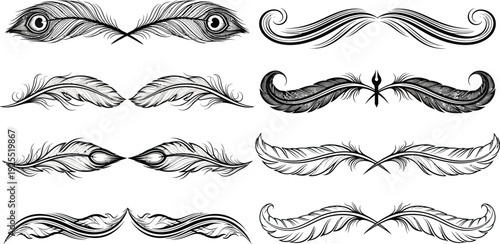 Black and white feather and swirl decorative for quill peacock