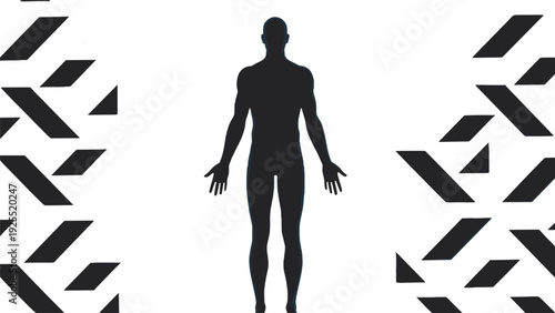 Human body silhouette anatomy figure, male front view medical health fitness concept vector illustration design