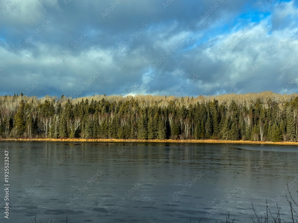 Fototapeta premium Evergreens lining a northern lake