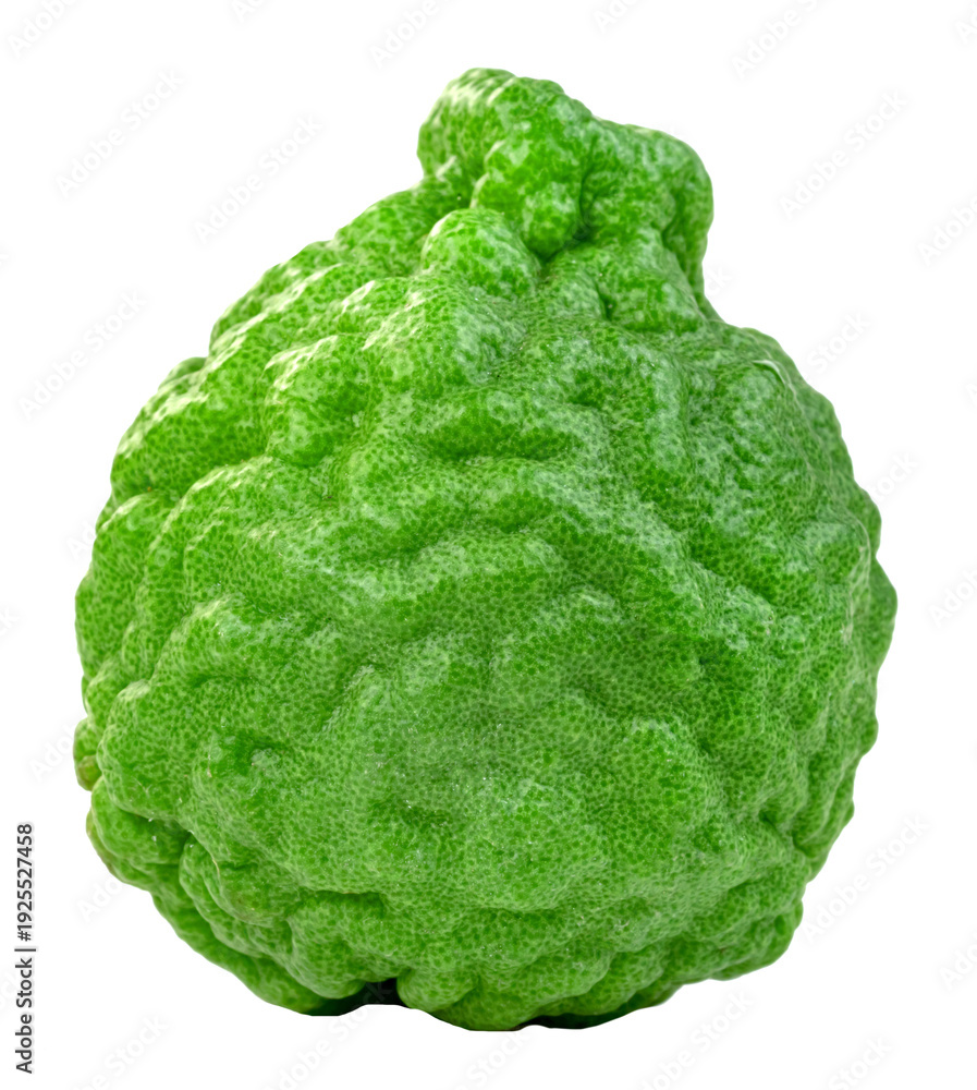 Naklejka premium Whole fresh bergamot fruit with bumpy green skin isolated. Kaffir lime citrus fruit for aromatherapy, cooking, and traditional medicine. High quality macro shot of organic fruit.