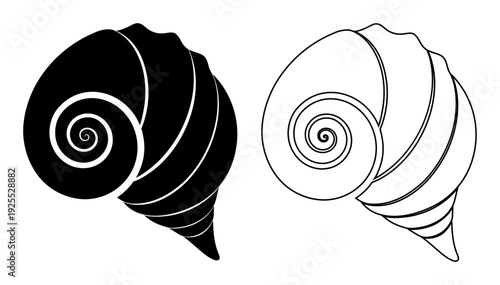 Elegant spiral seashell silhouette and outline, representing nature and simplicity.