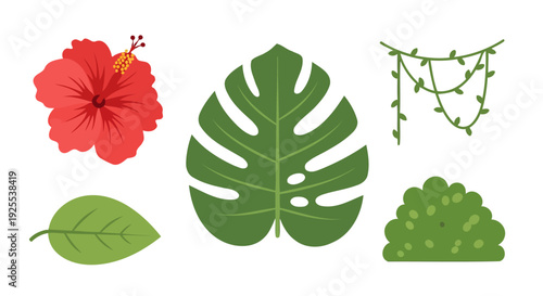 Vibrant Tropical Botanical Elements Vector Illustration Set with Hibiscus Flower Monstera Leaf and Jungle Foliage.