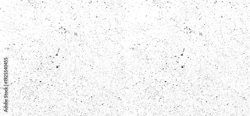 Abstract vector noise. Small particles of debris and dust. Distressed uneven background. Grunge with fine grains isolated on white background. Vector illustration. EPS10.