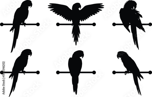 Parrot silhouette vector collection, tropical bird perched icons, macaw cockatoo illustration, black wildlife animal isolated design set