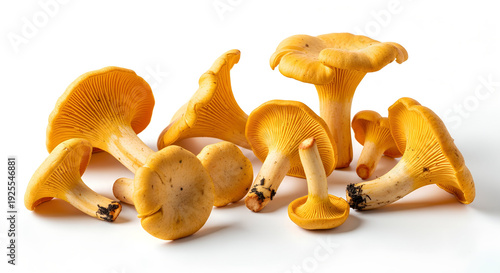 Chanterelle mushrooms