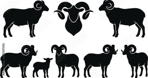 Ram sheep silhouette set, bighorn animal vector illustration isolated on white background livestock wildlife horned mammal collection design