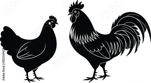 Black silhouette of a rooster and a hen on a white background chicken bird