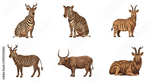 set of wild animals