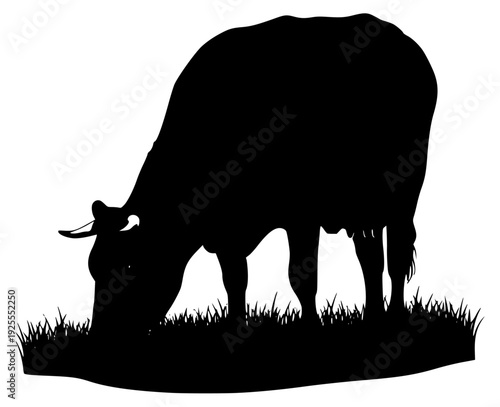 A silhouette of a cow grazing on grass, animal, black, bull, calf, cattle, cow, eat, grass, graze, green, illustration, lush, profile, stand, against transparent background