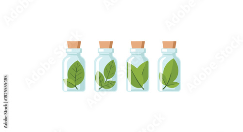A flat vector illustration of four glass bottles with cork stoppers containing green leaf specimens arranged in a row on a white background.