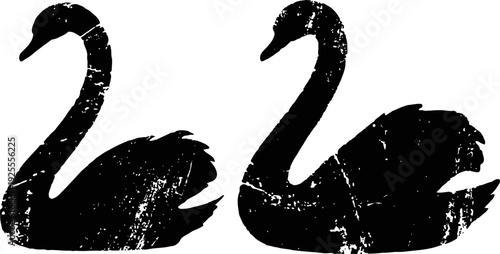 Grunge black swan silhouettes pair artistic waterfowl illustration minimalist design