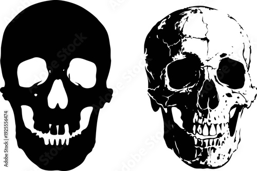 Human skull illustration comparison with solid black silhouette and detailed anatomical drawing