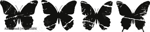 silhouettes of grunge textured butterflies in a row with varying wing damage