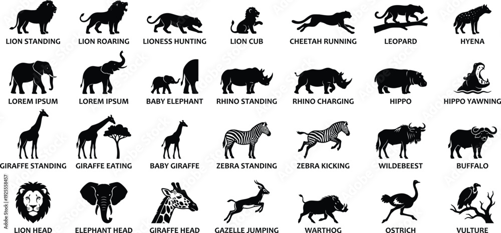 Obraz premium African safari animal silhouettes set featuring lions elephants giraffes and zebras as black vector icons on a white background for wildlife design