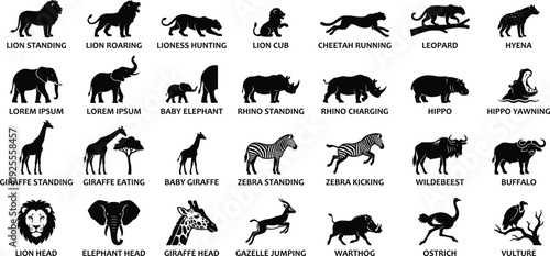 African safari animal silhouettes set featuring lions elephants giraffes and zebras as black vector icons on a white background for wildlife design