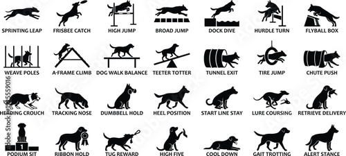 Dog agility icons and canine training silhouettes set featuring various breeds performing sports, obedience tasks, and athletic maneuvers in vector style