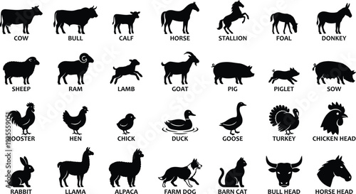 Farm animal silhouettes collection featuring a comprehensive set of livestock and poultry icons as a black vector illustration on white background