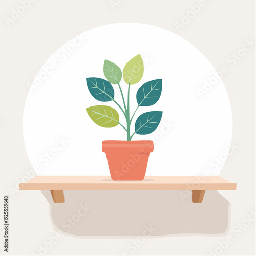 Potted Plant on a Wooden Shelf with a Circular Background