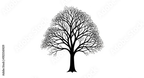 vector tree silhouette