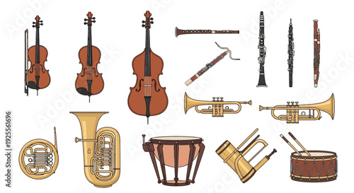 Collection of Various Musical Instruments Illustrated.