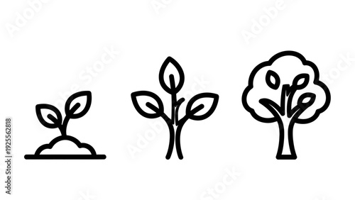 Seedling to tree growth stages icon set, symbolizing development, evolution and life cycle in nature or business.