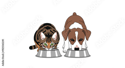 A brown tabby cat and a brown and white dog lean down to eat from two silver metal pet bowls on a plain white background.