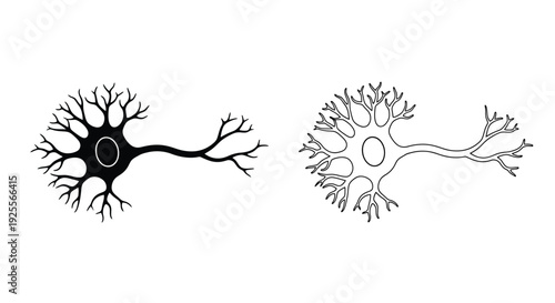 Illustration of two neuron cells with detailed dendritic branching patterns