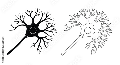 Detailed illustration of two distinct neuron structures in black and white