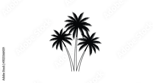Simple black and white illustration of three palm trees against a white background
