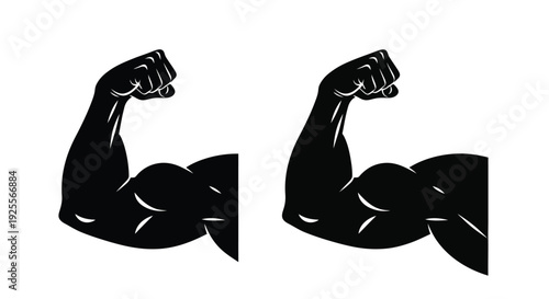 Two muscular arms flexed showcasing strength and physical fitness