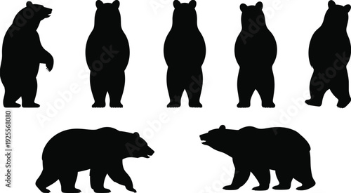 A comprehensive set of black silhouettes featuring wild bears in various standing, walking, and roaring poses, ideal for forest wildlife conservation and nature themes.