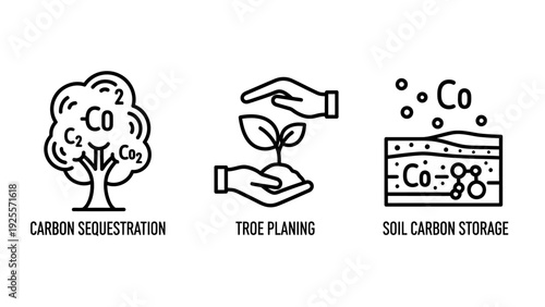 Carbon sequestration, tree planting, and soil carbon storage icons for environmental sustainability and climate change solutions.