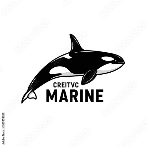 Black and white orca killer whale marine logo illustration