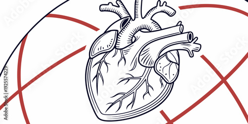 Anatomical illustration of the human heart surrounded by a network of blood vessels