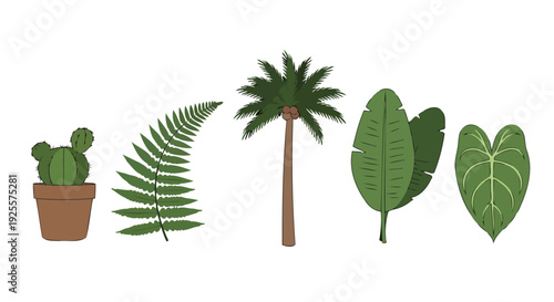 Diverse green tropical and desert plants in a charming flat illustration style featuring cactus fern palm and broad leaves.