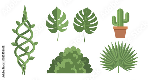 Flatdesign green botanical illustrations climbing vine monstera cactus bush palm leaf.