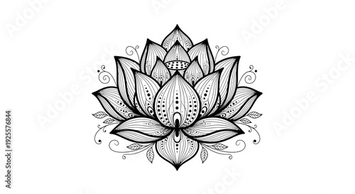 Intricate Hand Drawn Lotus Flower Illustration. Detailed Black and White Design with Ornate Petal Patterns and Decorative Elements