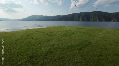A lake in a national park in summer, birds flying over the water, filmed with a drone
