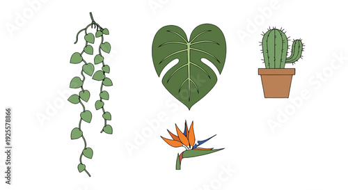 Stylized green house plants heartleaf vine split Monstera spiky potted cactus vibrant Bird of Paradise flower.