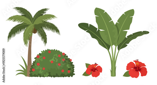 Vibrant tropical plants vector illustration palm tree lush redflowered bush banana leaves and two detailed hibiscus blooms.