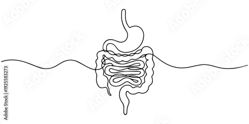 digestive continuous one line drawing, Continuous one line drawing of Human digestion. Single line drawing illustration of Human Digestive. one line Icon drawing, Abstract one line drawing