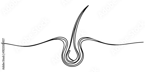 Hair growth continuous one line drawing, one line art Hair vector illustration. line art, one continuous line, simple, hand drawn and sketch style. for icons, symbols, signs or logos. PNG
